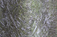 Shrivenham fibreglass roof work